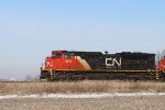 CN 8811